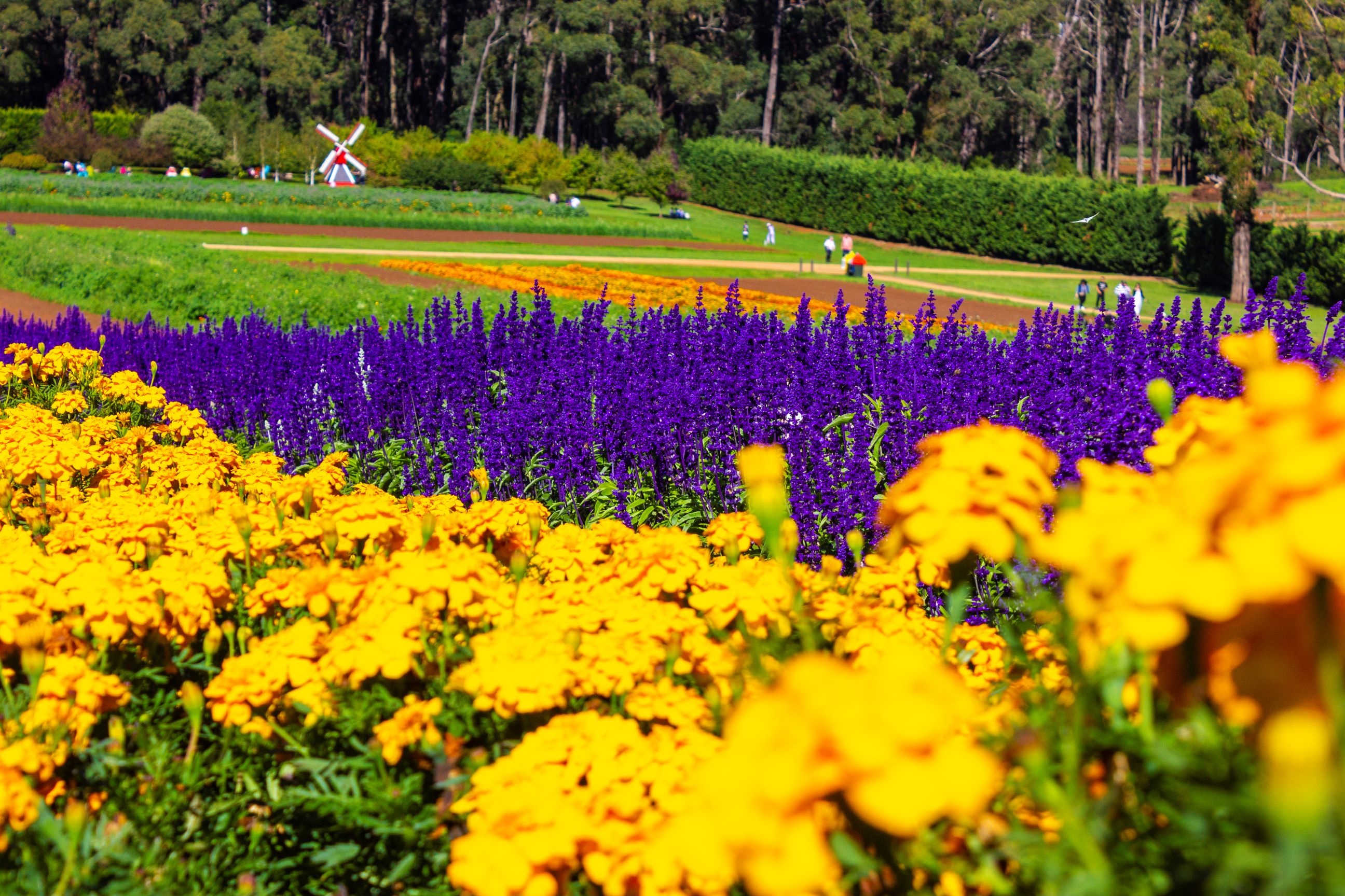 Gardens